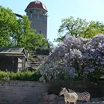 Otel Tryp By Wyndham Halle 3*