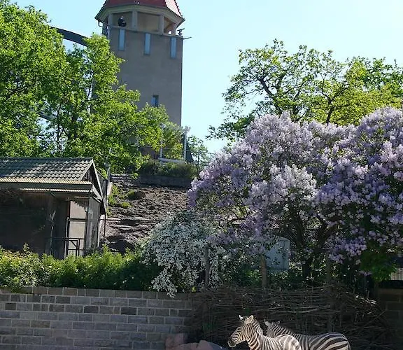 Hotel Tryp By Wyndham Halle 3*